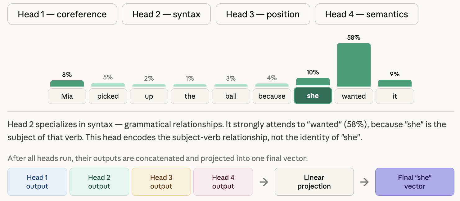 Visualization of Head 2’s attention pattern, showing a different relationship structure than Head 1
